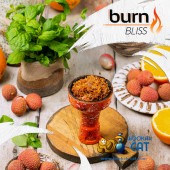 Табак Burn Bliss (Личи Мята) 100г Акцизный